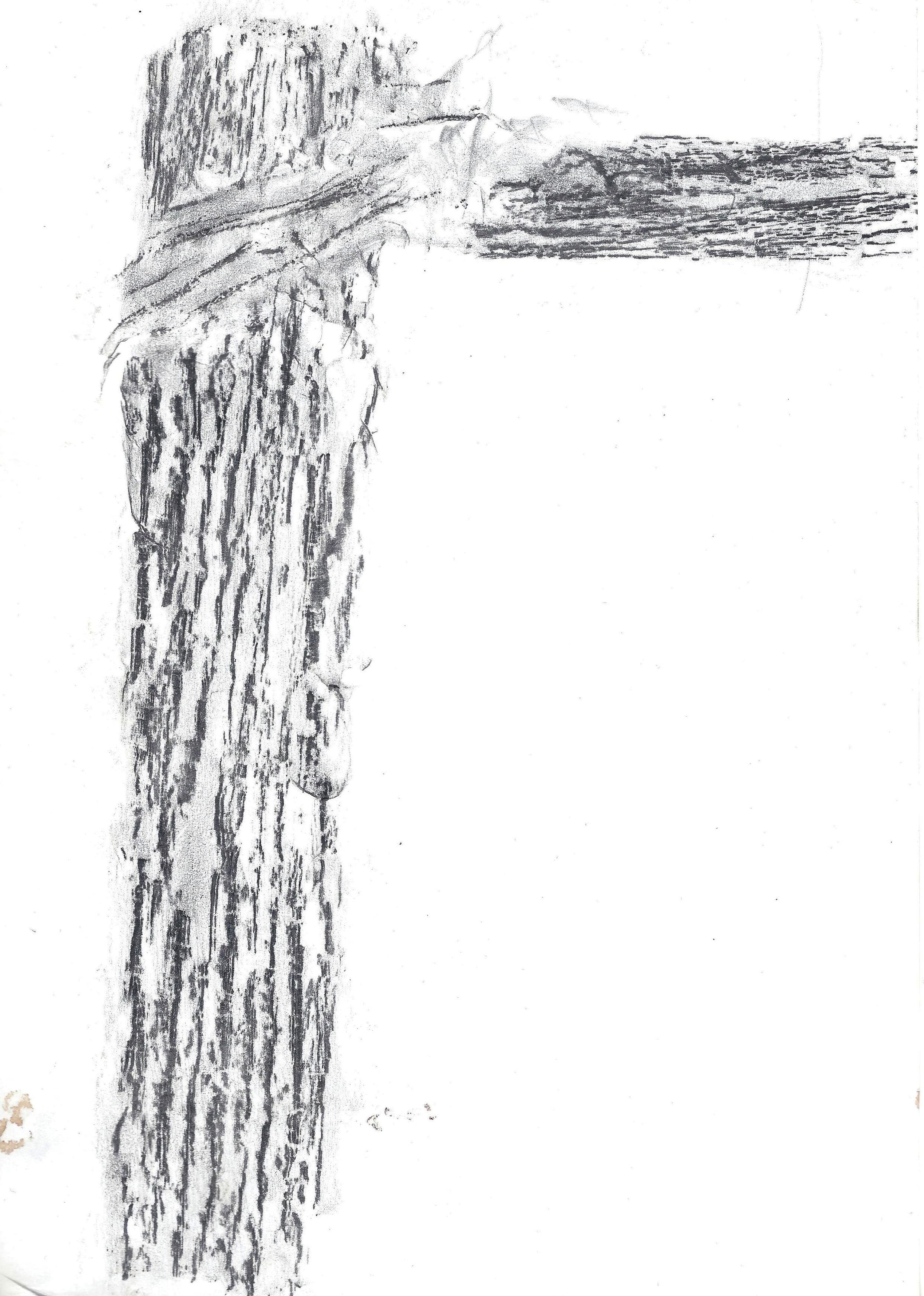 Stener Ladder One body , thousand Trees – Steiner’s Ladder – Giorgos Palamaris